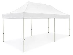 10x20 canopy (lights included)